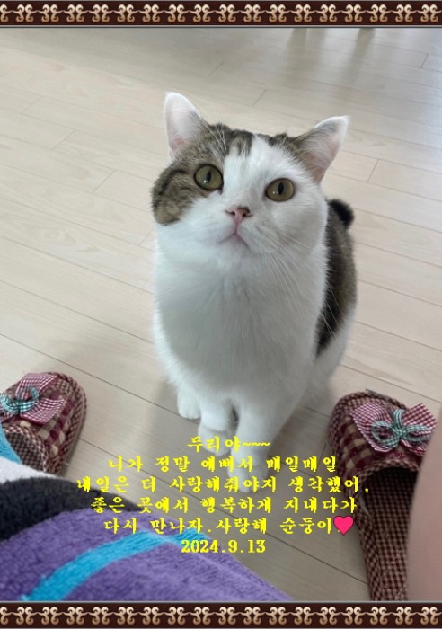 두리