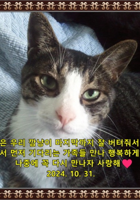 깜냥이