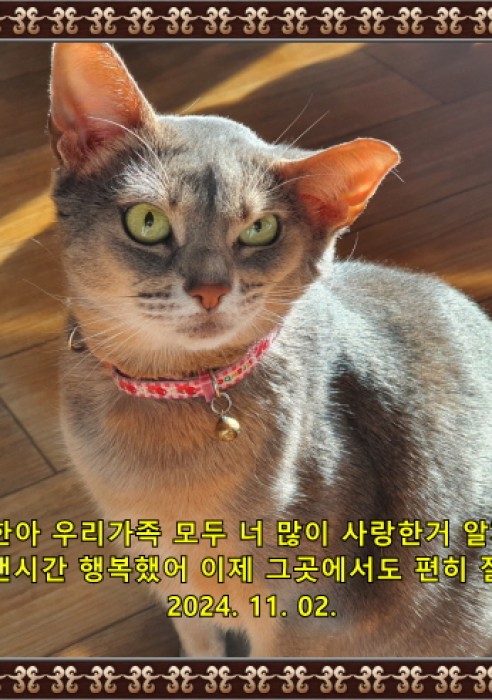 한이