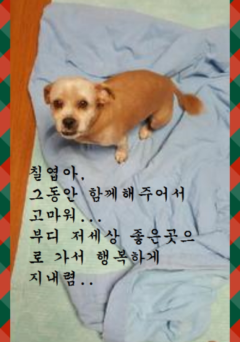 칠엽이