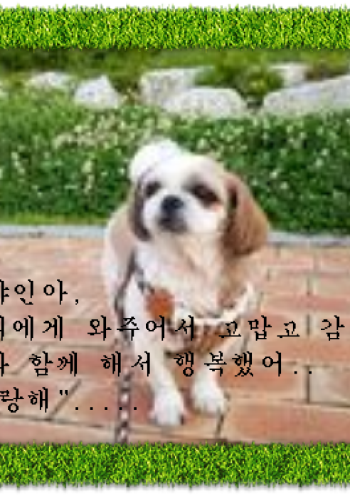 썬샤인