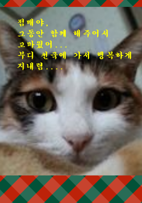 점매