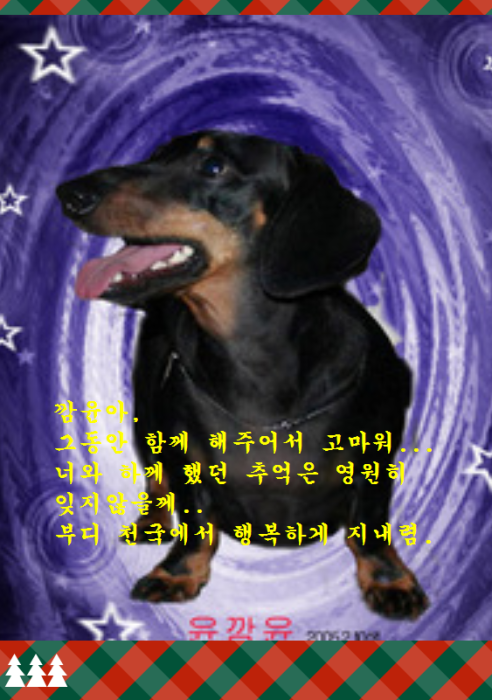 윤깜윤