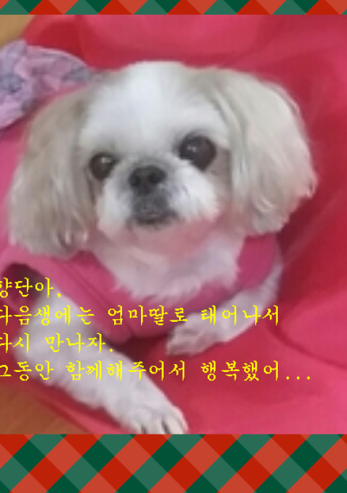 향단이