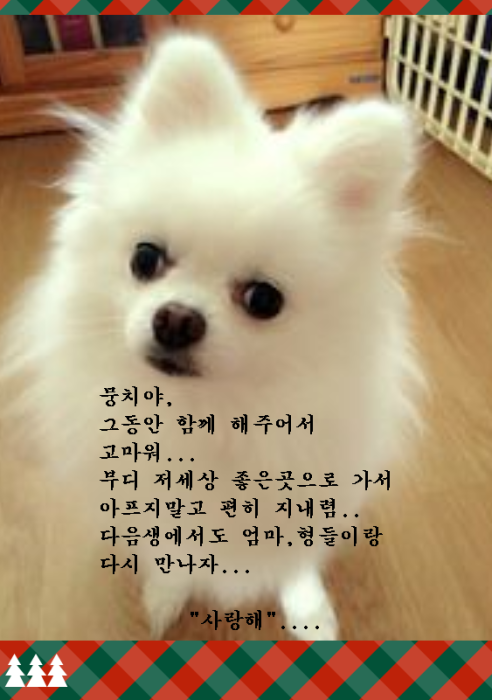 뭉치