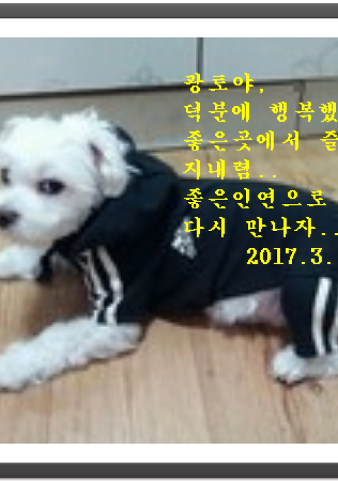 광토