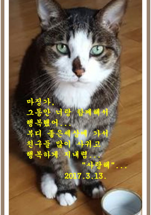 마징가