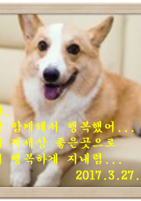 별이