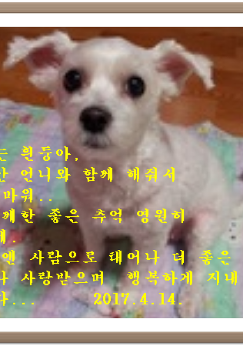 흰둥이