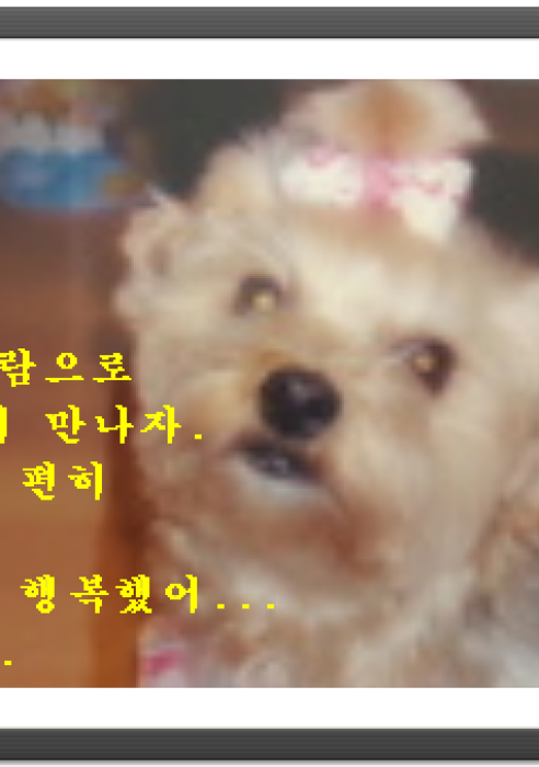 꽃님이