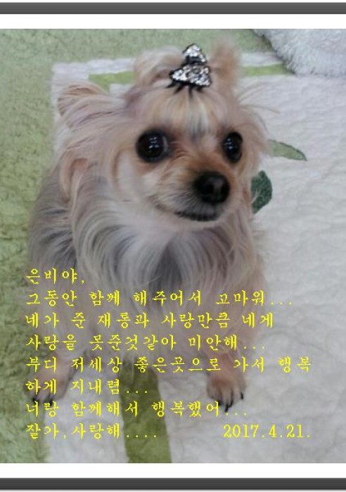 은비