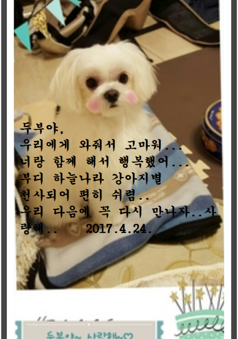 두부