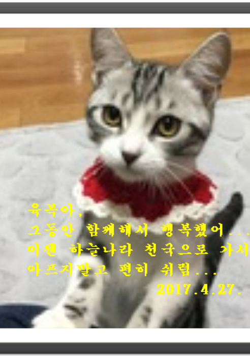 육복이