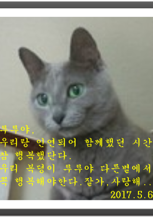 루루