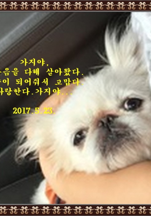 가지