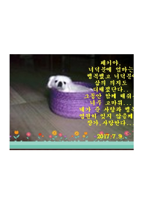 페키