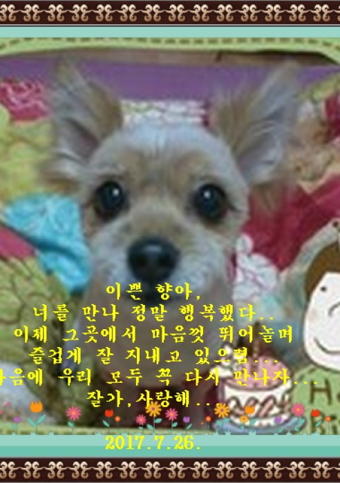 향이