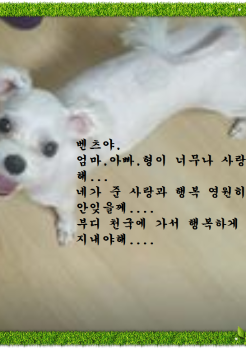 벤츠