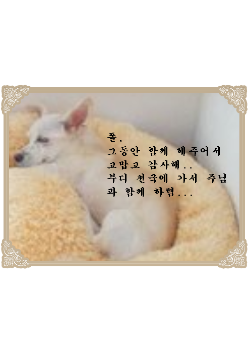 폴