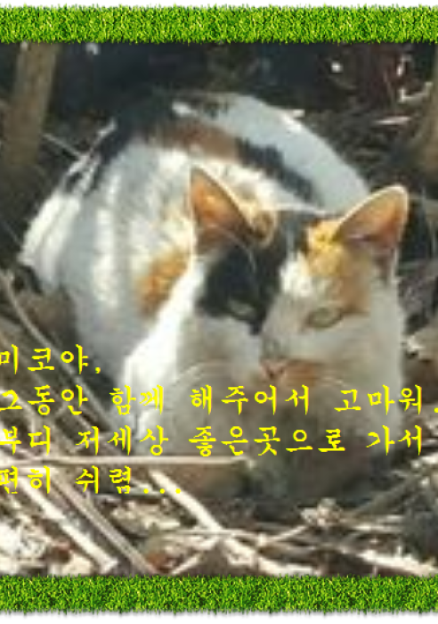 미코