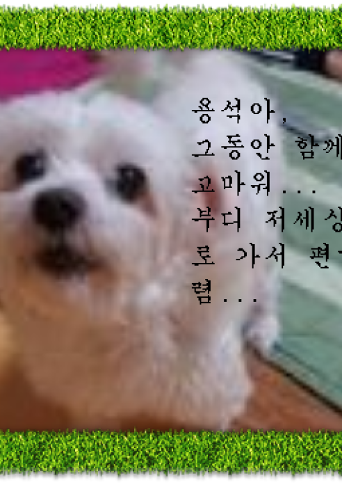 용석이