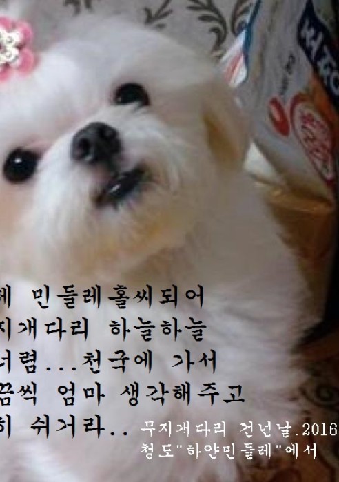 두리야