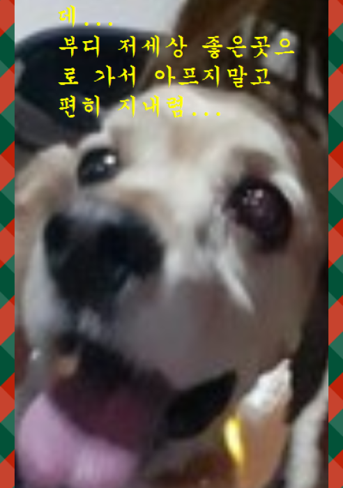 똘이